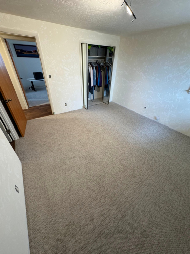 LVP & Carpet Installation in Loveland, CO