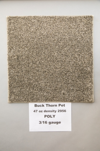 Buck-Thorn-Pet-Carpet-Fort-Collins-01