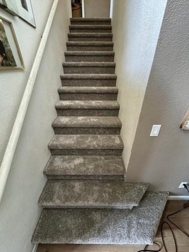 Carpet Install in Fort Collins, Color is Rodeo