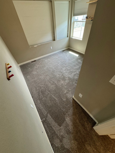 Carpet Installation Fort Collins - Color Coffee