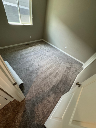 Carpet Installation Fort Collins - Color Coffee