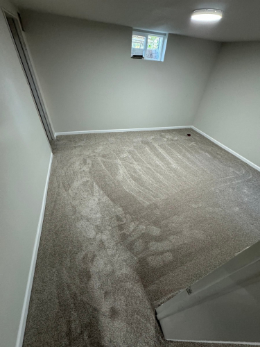 Carpet Installation in Fort Collins - Color Spinning Wheel