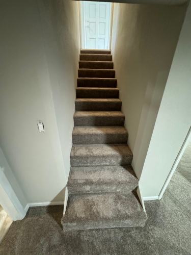 Carpet Installation in Fort Collins - Color Spinning Wheel