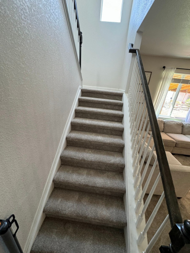 Carpet Installation in Windsor - Color Grecian Tan