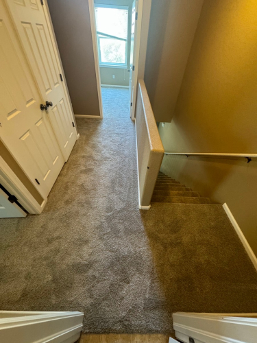 Carpet Installation in Fort Collins - Color Beach Cabana