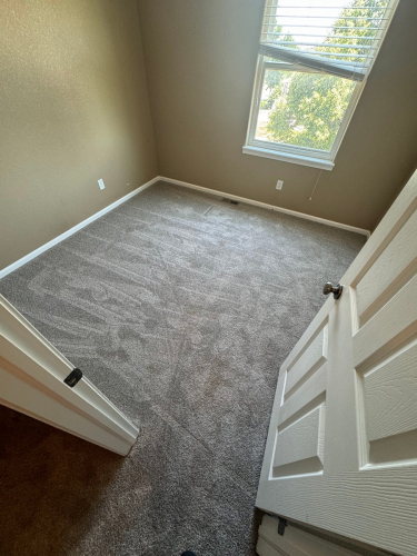 Carpet Installation in Fort Collins - Color Beach Cabana