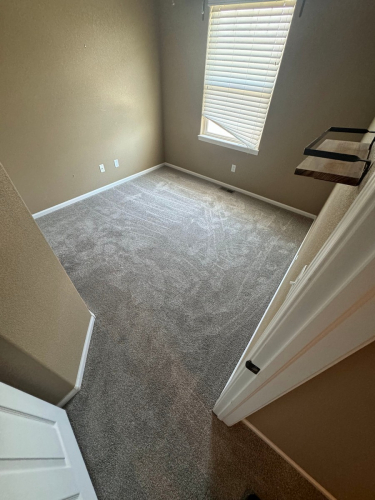 Carpet Installation in Fort Collins - Color Beach Cabana