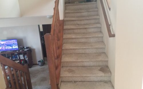 Carpet Removal  Installation In Love land CO