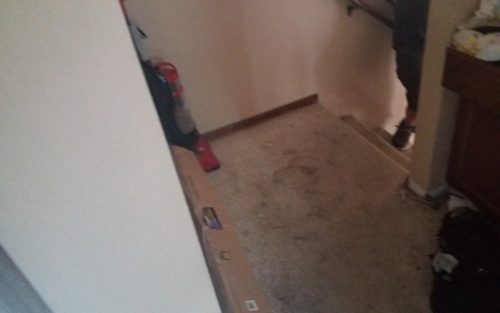 Carpet Removal  Installation In Love land CO
