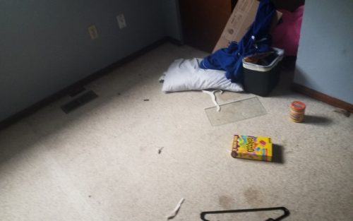 Carpet Removal  Installation In Love land CO