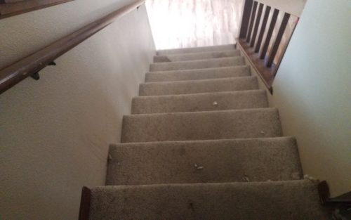 Carpet Removal  Installation In Love land CO