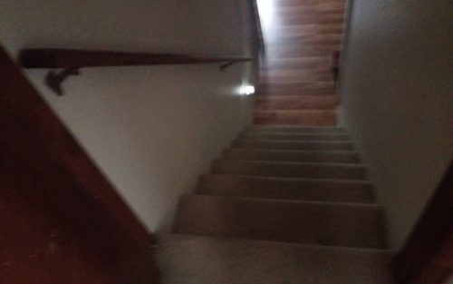 Carpet Removal  Installation In Love land CO