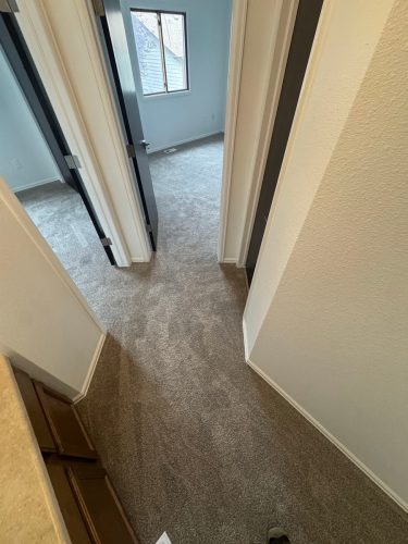 Carpet Removal  Installation In Love land CO