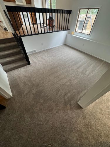 Carpet Removal  Installation In Love land CO
