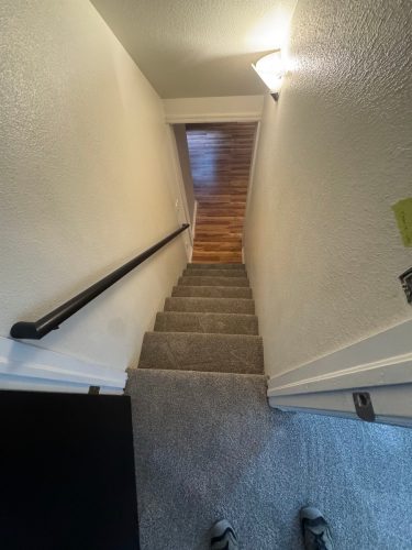 Carpet Removal & Installation In Love land CO