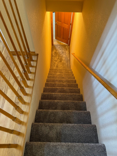 Fleeting Fawn Carpet Installation in Fort Collins, Colorado