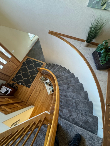 Fleeting Fawn Carpet Installation in Fort Collins, Colorado