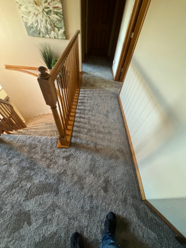 Fleeting Fawn Carpet Installation in Fort Collins, Colorado