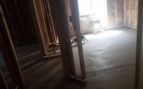 Fort Collins, CO Laminate Plank Installation