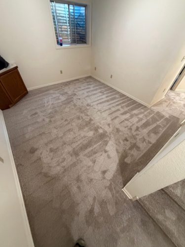 Fort Collins Carpet Project Raw Wood Carpet Install 