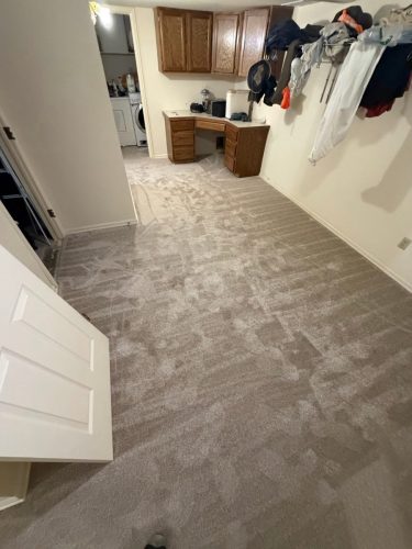 Fort Collins Carpet Project Raw Wood Carpet Install 