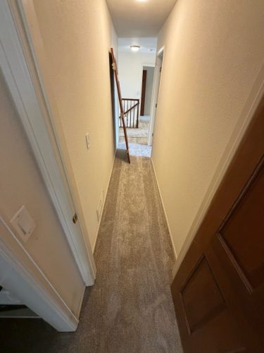 Fort Collins Carpet Project Raw Wood Carpet Install 