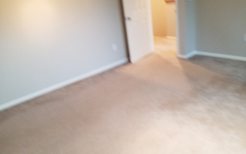Fort Collins Colorado Beach Cabana Carpet Installation