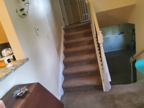 Fort Collins, Comprehensive Flooring Transformation with Laminate  Carpet