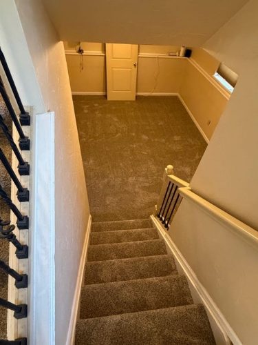 Fort Collins, Comprehensive Flooring Transformation with Laminate  Carpet