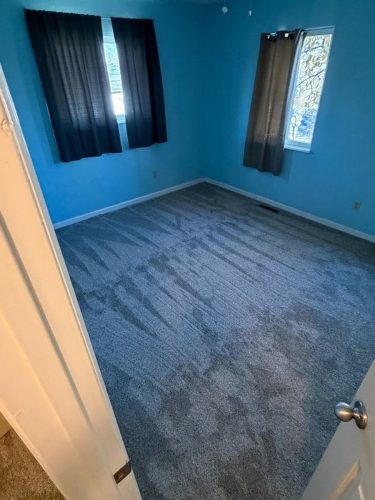 Fort Collins, Comprehensive Flooring Transformation with Laminate  Carpet