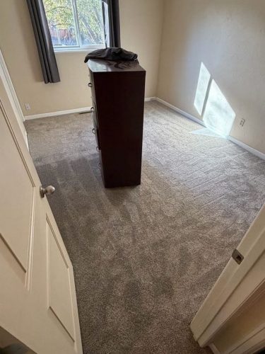 Fort Collins, Comprehensive Flooring Transformation with Laminate & Carpet