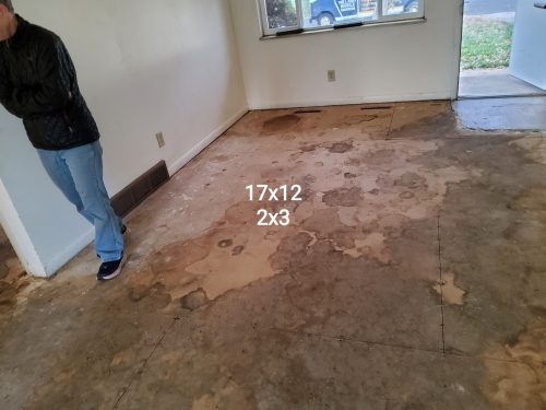 Fort Collins Laminate and Carpet Flooring: Subfloor Repair and Installation