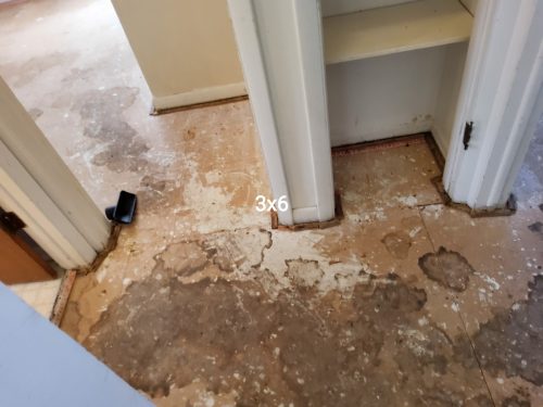 Fort Collins Laminate and Carpet Flooring: Subfloor Repair and Installation