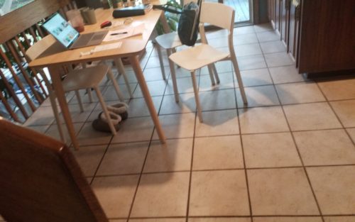 Fort Collins, CO: 1240 Sq. Ft. Laminate and Vinyl Flooring Installation