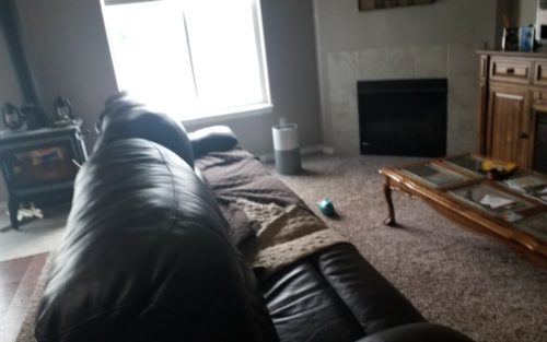 Laminate Plank Flooring and Carpet Installation in Windsor, CO