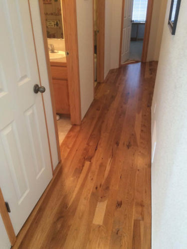 Project11-Hickory_Hardwood_Fort_Collins08