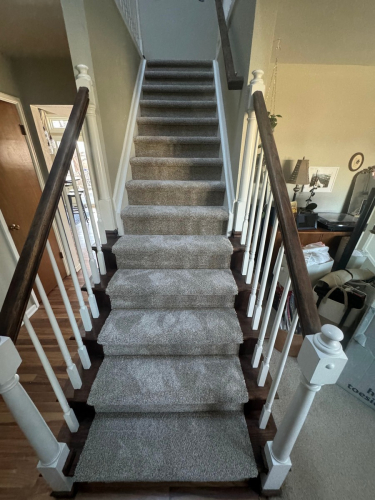 Soft Sands Colored Carpet Installation in Fort Collins CO