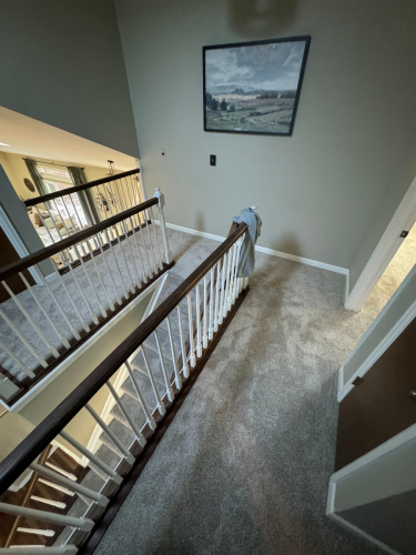 Soft Sands Colored Carpet Installation in Fort Collins CO