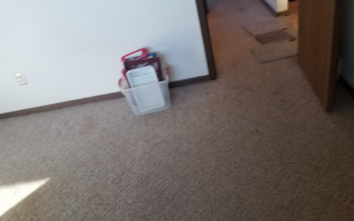 Spinning Wheel Carpet Installation Fort Collins