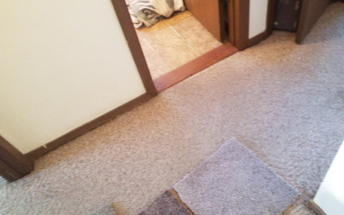 Spinning Wheel Carpet Installation Fort Collins