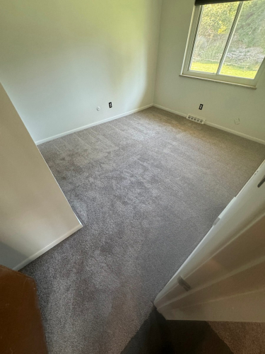 Spinning Wheel Carpet Installation Greeley Colorado