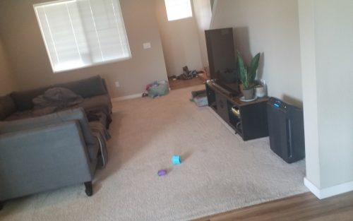 Wellington, CO Waterproof Laminate Flooring Installation