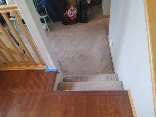 Fort Collins Carpet Installation | Dawn Beige Full-Home Project