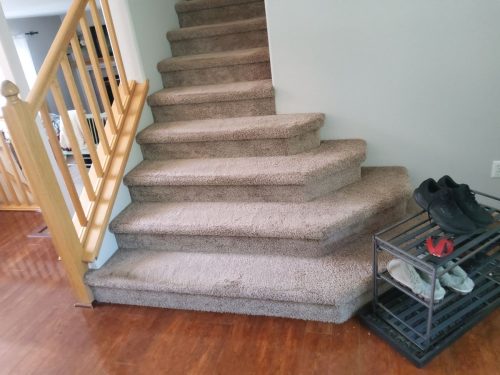 Fort Collins Carpet Installation | Dawn Beige Full-Home Project