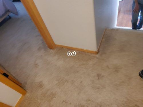 Fort Collins Carpet Installation | Dawn Beige Full-Home Project
