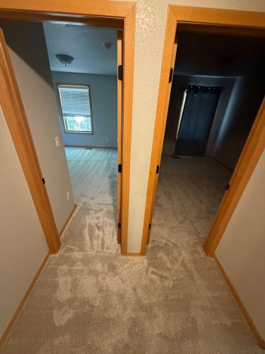 Fort Collins Carpet Installation | Dawn Beige Full-Home Project